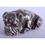A LARGE CONTINENTAL SILVER FIGURE OF A BULLDOG with ruby eyes. 139 grams. 11 cm x 4 cm.