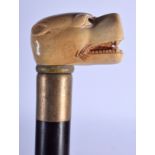 A NOVELTY CONTINENTAL CARVED BONE HANDLED DOG HEAD WALKING CANE. 84 cm long.