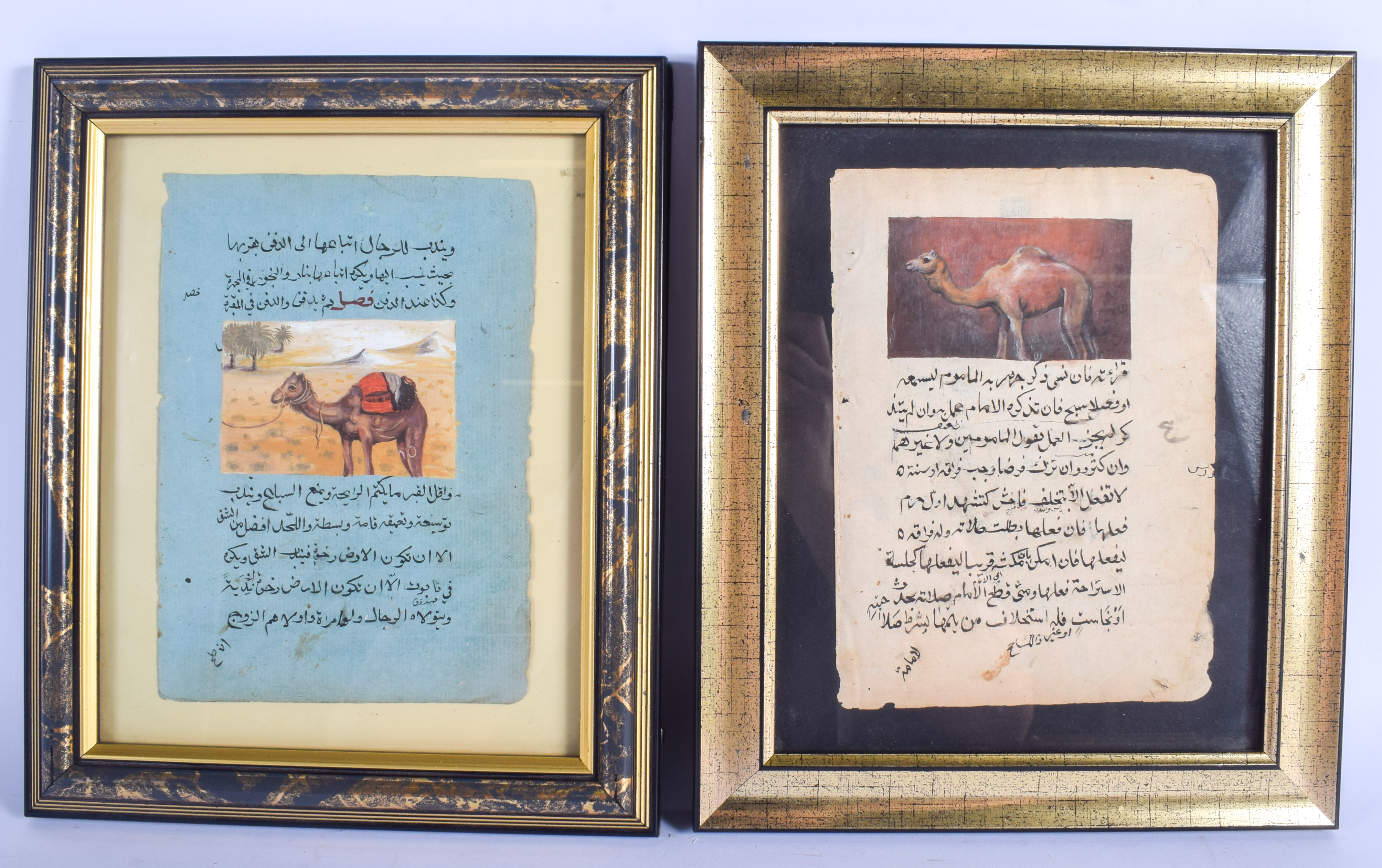 A PAIR OF INDIAN PERSIAN ILLUMINATED WATERCOLOUR MANUSCRIPTS depicting camels and calligraphy. Image