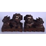 A PAIR OF EARLY 20TH CENTURY CHINESE HARDWOOD BUDDHISTIC DOGS upon rectangular bases. 22 cm x 20 cm.