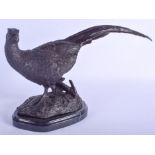 A CONTEMPORARY BRONZE PHEASANT. 40 cm x 24 cm.