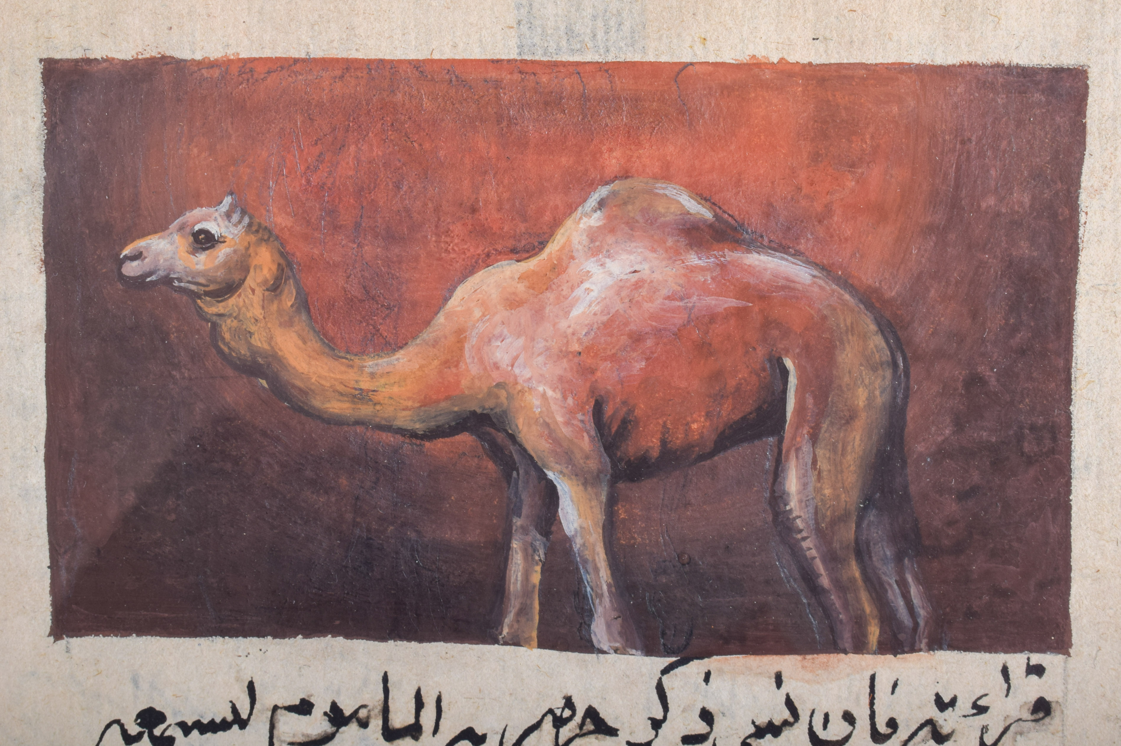 A PAIR OF INDIAN PERSIAN ILLUMINATED WATERCOLOUR MANUSCRIPTS depicting camels and calligraphy. Image - Image 3 of 4