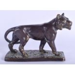 AN 18TH CENTURY CONTINENTAL BRONZE FIGURE OF A ROAMING LION possibly earlier, upon a rectangular bas