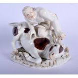A LOVELY 19TH CENTURY MEISSEN PORCELAIN FIGURE OF A MUSCULAR MALE modelled taming a bull upon a natu