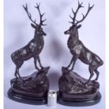 A LARGE PAIR OF CONTEMPORARY BRONZE FIGURES OF STAGS upon marble bases. 65 cm x 28 cm.