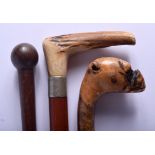 THREE ANTIQUE WALKING CANES one with antler handle. Longest 95 cm long. (3)