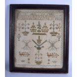 A LATE 18TH CENTURY ENGLISH EMBROIDERED SAMPLER C1796, decorated with birds and landscapes. Image 29