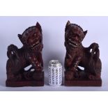 A LARGE PAIR OF LATE 19TH CENTURY CHINESE CARVED ROOT WOOD BUDDHISTIC DOGS modelled upon square plin