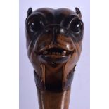 A RARE PAIR OF SWISS BAVARIAN BLACK FOREST NUT CRACKERS in the form of a dog. 18 cm long.