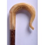 A 19TH CENTURY CONTINENTAL CARVED HORN HANDLED WALKING CANE Buffalo or Rhinoceros. 88 cm long.