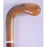 A 19TH CENTURY CONTINENTAL CARVED RHINOCEROS HORN WALKING CANE. 80 cm long.