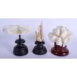 THREE EARLY 20TH CENTURY CORAL SPECIMENS Largest 15 cm x 8 cm. (3)