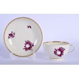 18th c. Worcester rare teacup and saucer painted with purple fruit