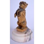 A 19TH CENTURY EUROPEAN GILT BRONZE FIGURE OF A BEGGING DOG upon a marble plinth. 11 cm high.
