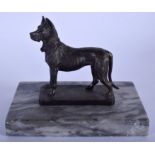 A 19TH CENTURY BRONZE AND MARBLE FIGURE OF A DOG modelled upon a rectangular base. 14 cm x 12 cm.