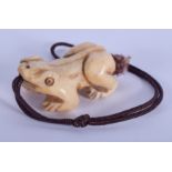 A 19TH CENTURY JAPANESE MEIJI PERIOD CARVED BONE NETSUKE TOGGLE modelled as a toad. 3.5 cm x 1.5 cm.