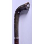 A 19TH CENTURY CONTINENTAL SILVER INLAID HORN WALKING CANE Buffalo or Rhinoceros. 95 cm long.