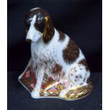 A Boxed Royal crown Derby Border Collie