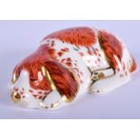 Royal Crown Derby paperweight of a Puppy made exclusively Royal Crown Derby Collectors Guild. 9cm w