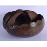 AN EARLY 20TH CENTURY CONTINENTAL COCO DE MER NUT CARRYING BASKET of naturalistic form. 26 cm x 30