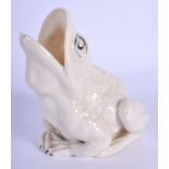 A RARE IRISH BELLEEK PORCELAIN FROG possibly a brush holder or spoon warmer. 12 cm x 8 cm.