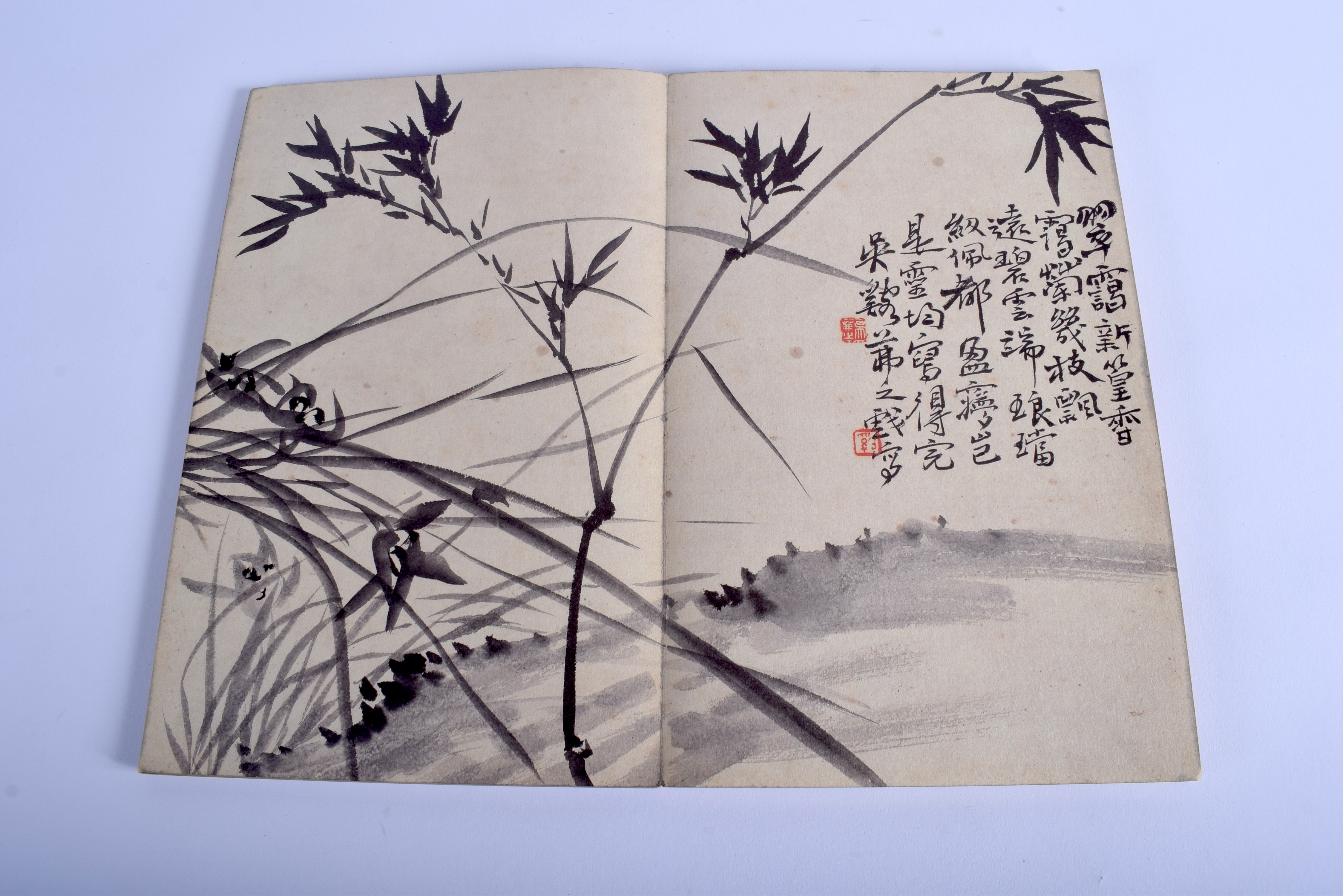 AN EARLY 20TH CENTURY CHINESE BLACK AND WHITE BOOKLET Late Qing/Republic. 35 cm x 28 cm each open - Image 6 of 7