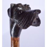 A VINTAGE BLACK FOREST BAVARIAN DOG HEAD WALKING CANE. 80 cm long.