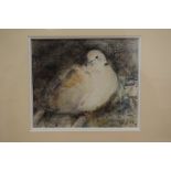 Scottish School (19th Century) Watercolour, Study of a bird. Image 17 cm x 15 cm.