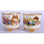A PAIR OF ANTIQUE ROYAL WORCESTER CIRCULAR SALTS painted with butterflies and foliage. 6 cm wide.