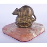 AN ANTIQUE CONTINENTAL COLD PAINTED BRONZE MOUSE modelled upon a nut. Bronze 8 cm x 8 cm.