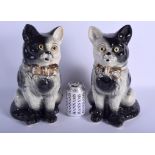 A LARGE PAIR OF 19TH CENTURY CONTINENTAL POTTERY CATS modelled in gilt bow ties. 34 cm high.