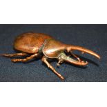 A small bronze Japanese stag beetle