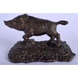 A 19TH CENTURY BRONZE FIGURE OF A ROAMING WILD HOG modelled upon a naturalistic base. 12 cm x 8