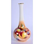 Royal Worcester vase painted by Roberts , signed with peaches and cherries, black mark , shape 2491