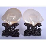 A PAIR OF 19TH CENTURY CHINESE MOTHER OF PEARL CANTON SHELLS upon fitted hardwood bases. 27 cm x 14