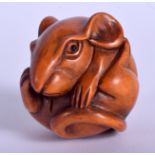 AN EARLY 20TH CENTURY JAPANESE CARVED BOXWOOD NETSUKE modelled as a coiled rat. 4 cm x 3.5 cm.