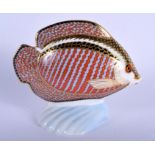 Royal Crown Derby paperweight of a Tropical Fish Gourami. 11cm high