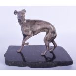 A 19TH CENTURY FRENCH SILVERED BRONZE FIGURE OF A WHIPPET After Pierre Jules Mene, modelled upon a