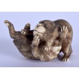 A GOOD 19TH CENTURY JAPANESE MEIJI PERIOD CARVED IVORY NETSUKE modelled as puppies playing. 3.5 cm