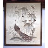 AN EARLY 20TH CENTURY JAPANESE MEIJI PERIOD SILKWORK EMBROIDERED PANEL decorated with a peacock, bu