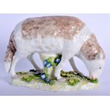 A 19TH CENTURY CONTINENTAL PORCELAIN MODEL OF A SHEEP modelled upon flower encrusted bases. 18 cm x