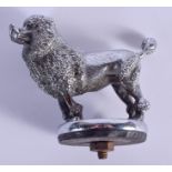 A 1940S CHROME POODLE CAR MASCOT. 9 cm x 6 cm.