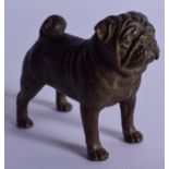 A CONTINENTAL BRONZE BULLDOG. 8 cm x 6 cm.