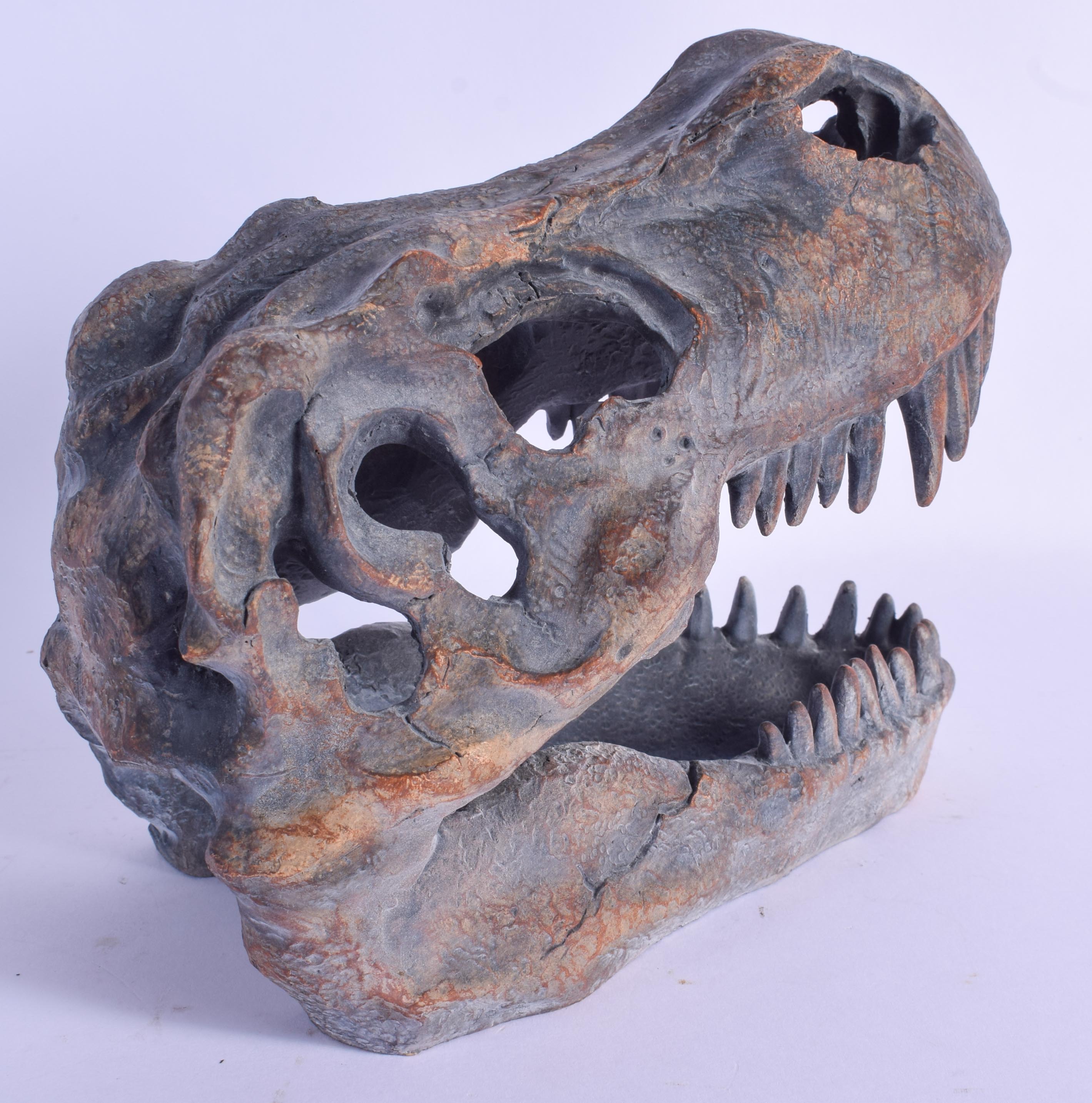 A T REX SKULL. 18 cm x 15 cm. - Image 2 of 3