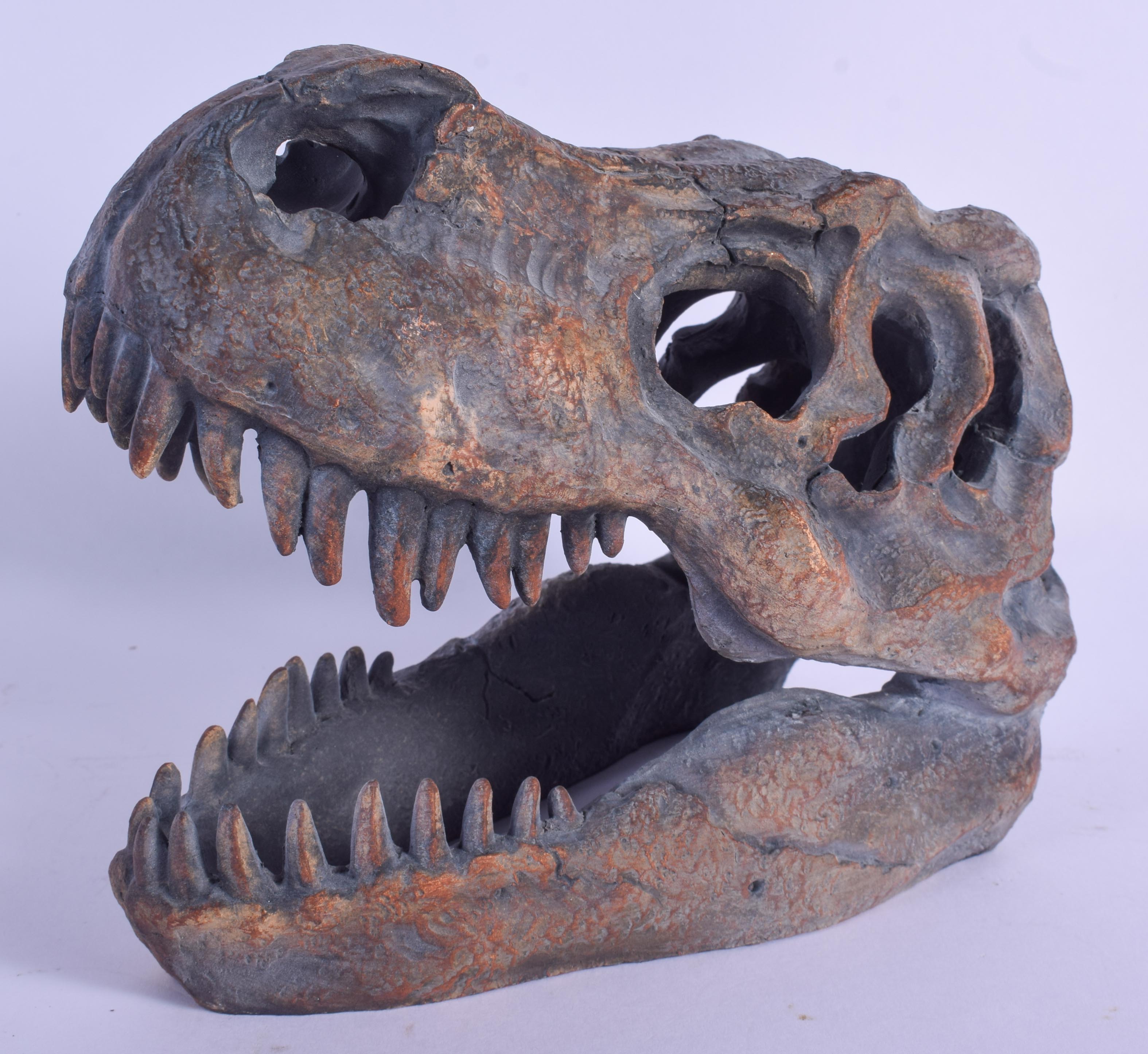 A T REX SKULL. 18 cm x 15 cm.