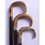 THREE 19TH CENTURY CONTINENTAL BUFFALO HORN HANDLED WALKING CANES. Largest 90 cm long. (3)