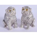 A PAIR OF SILVER PUG DOG SALTS. 114 grams. 5.5 cm high.