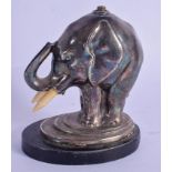 AN UNUSUAL EDWARDIAN SILVER PLATED IVORY DESK ELEPHANT possibly a lighter. 12.5 cm high.