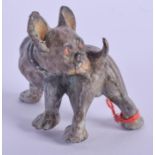 A COLD PAINTED BRONZE DOG. 4 cm x 4 cm.