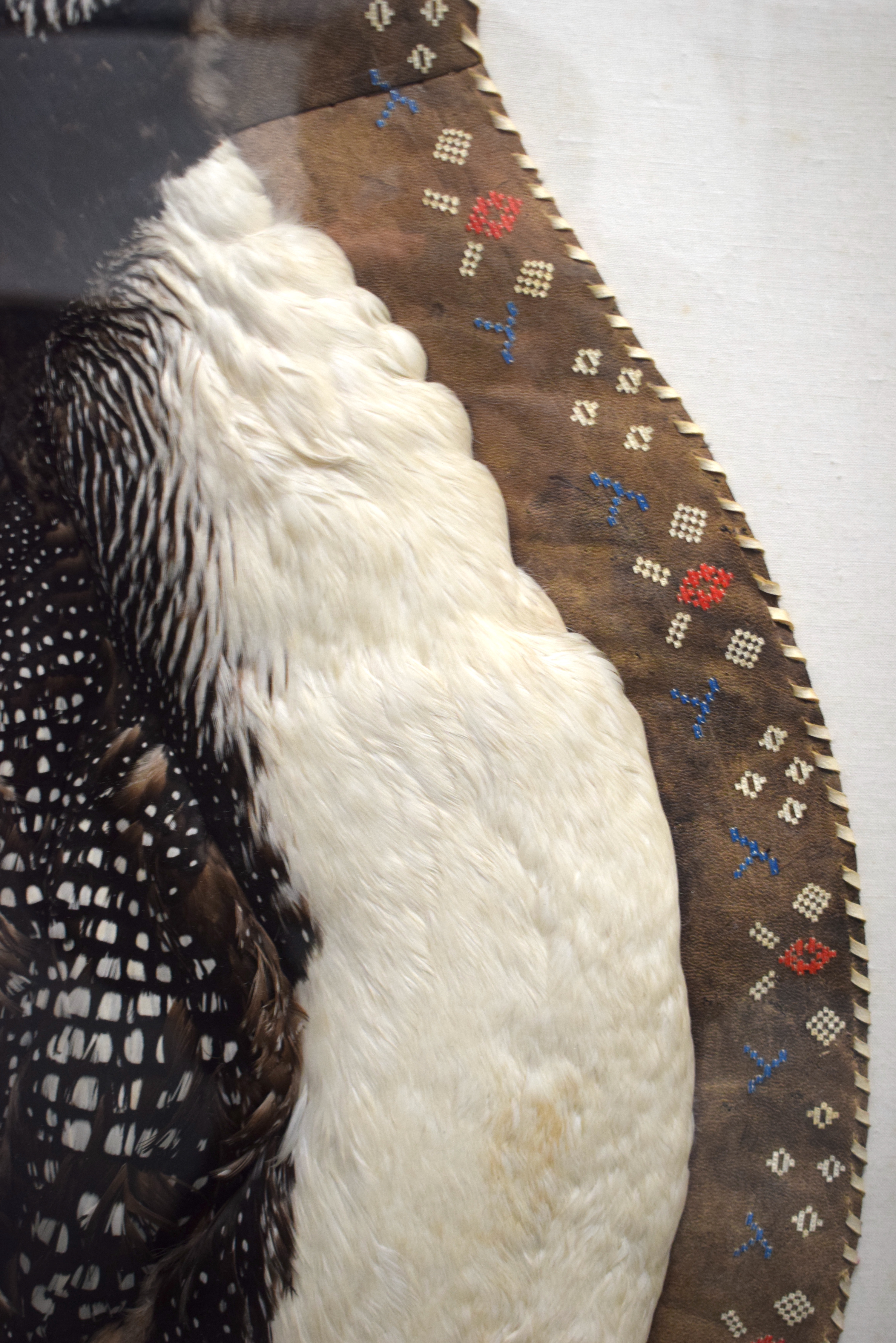 AN UNUSUAL FRAMED LOON BIRD SKIN RUG possibly Native American, with leather edge and leather work. S - Image 3 of 6